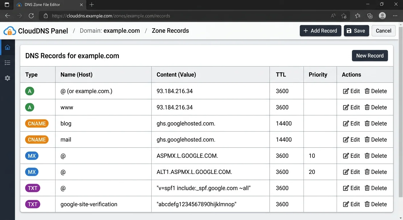 DNS zone file editor displaying common record types for a domain audit